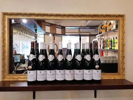 Dejmalik Hotel Litoměřice